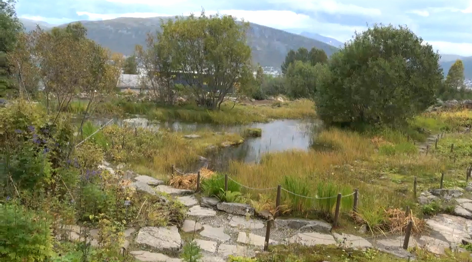 a garden against the mountanous landscape