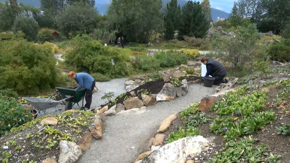 a man and woman doing gardening